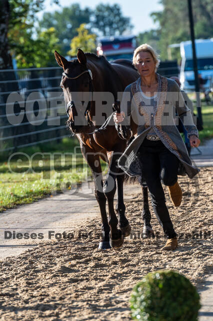Deutsche Meisterschaft Vielseitigkeit (Luhmühlen)