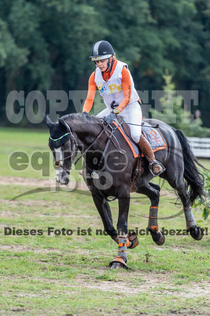 Vielseitigkeit RSV Wesel Obrighoven (26.+27.09.2020)