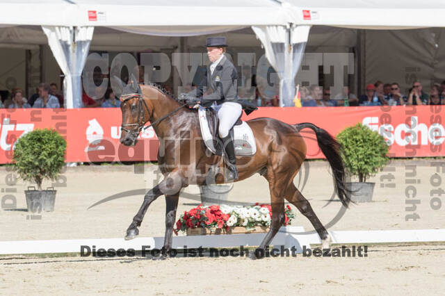 FEI European Championship Eventing 2017