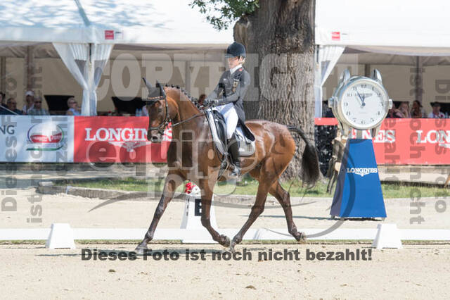 FEI European Championship Eventing 2017