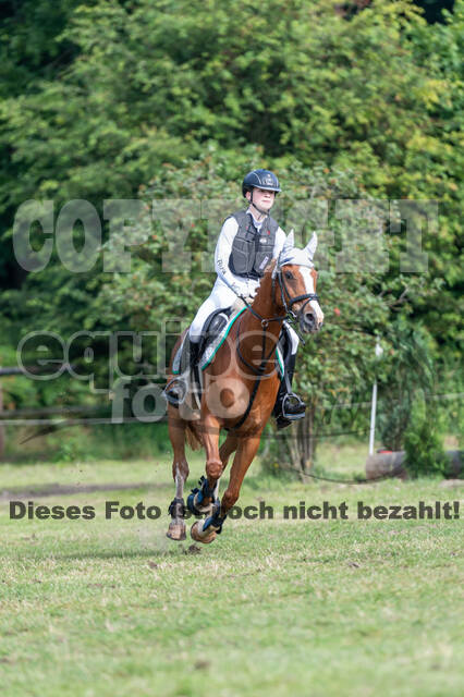 Goldene Schärpe 2021 - Ponys