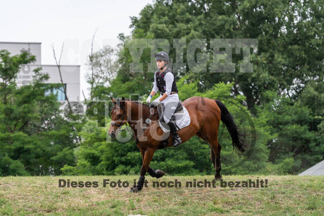 Late-Entry-Vielseitigkeit Langenfeld (11.+13./14.06.2020)