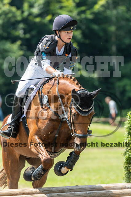 Goldene Schärpe 2021 - Ponys