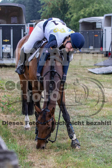 Late-Entry Vielseitigkeit Hamminkeln/Wesel (01.+02.08.2020)
