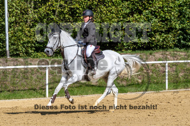 RFV Dinslaken-Hiesfeld (Herbstturnier)