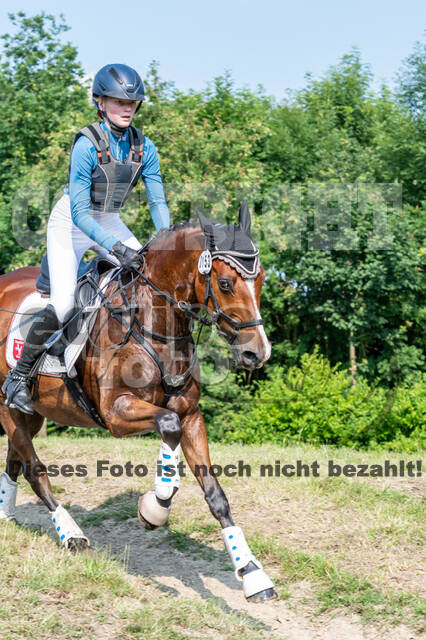 Goldene Schärpe 2021 - Ponys