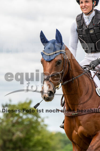 Bonn-Rodderberg Late-Entry-Vielseitigkeit (30.06.2020)