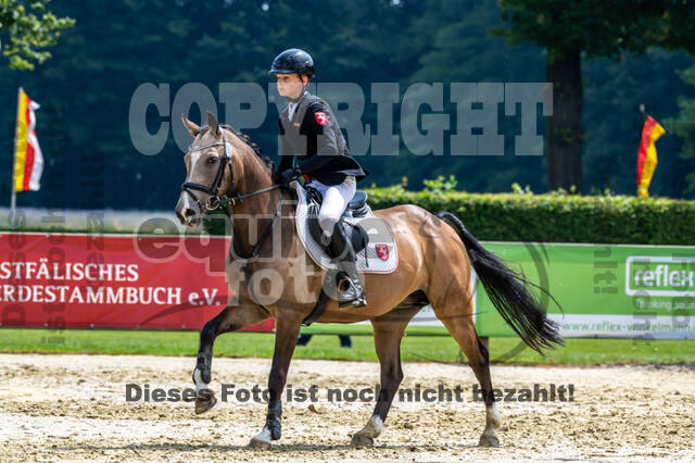 Goldene Schärpe 2021 - Ponys