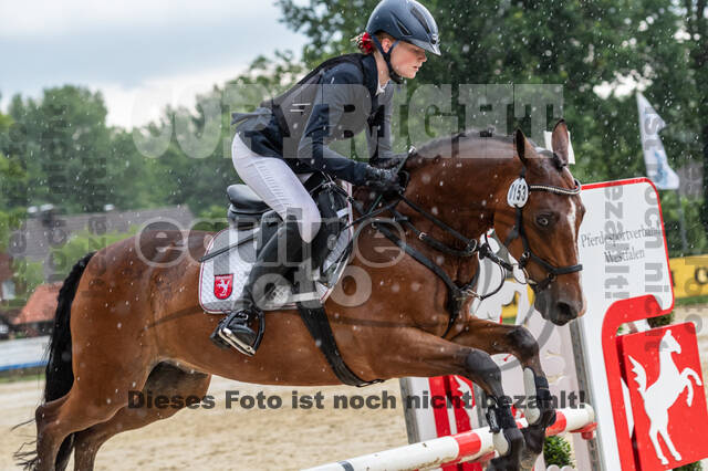 Goldene Schärpe 2021 - Ponys