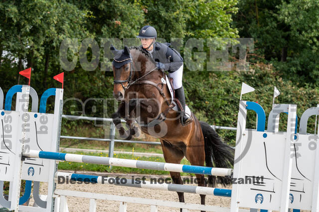 Late-Entry-Vielseitigkeit Langenfeld (06.+07.07.2020)