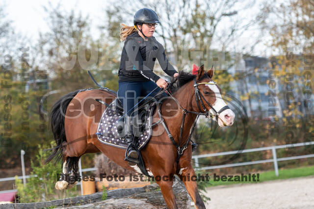 IGV Lehrgang der Sieger der Cups mit Frank Ostholt