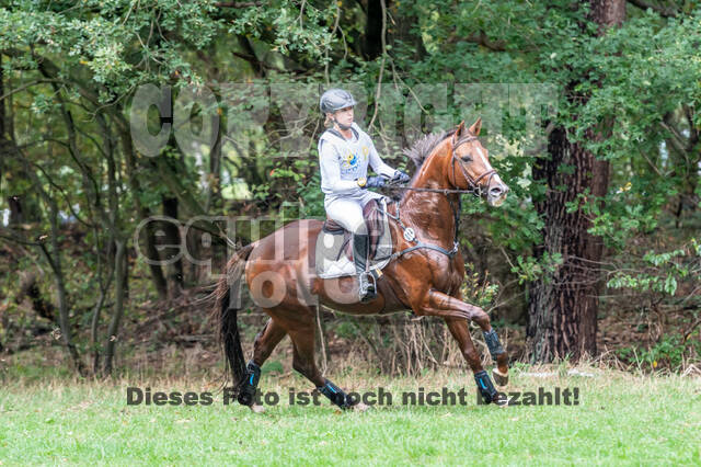 Vielseitigkeit RSV Wesel Obrighoven (26.+27.09.2020)