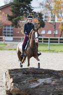 IGV Lehrgang der Sieger der Cups mit Frank Ostholt