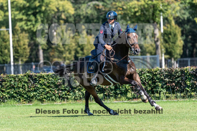 Kronenberg - De Peelbergen (August 2020)