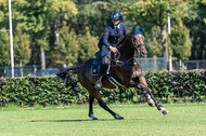Kronenberg - De Peelbergen (August 2020)