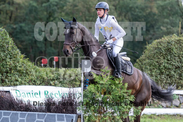 Vielseitigkeit RSV Wesel Obrighoven (26.+27.09.2020)