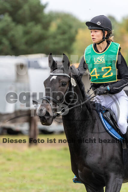 Vielseitigkeit RSV Wesel Obrighoven (26.+27.09.2020)