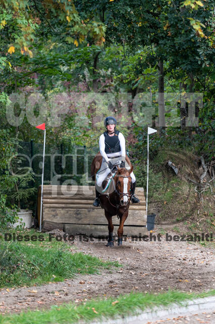 Goldene Schärpe 2020 - Pferde