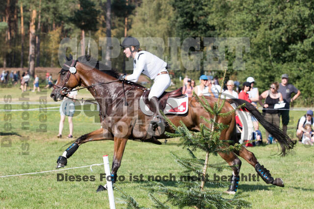 FEI European Championship Eventing 2019