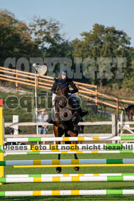 De Peelbergen (August 2020)