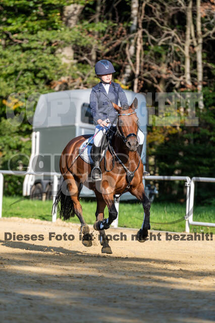 RFV Dinslaken-Hiesfeld (Herbstturnier)