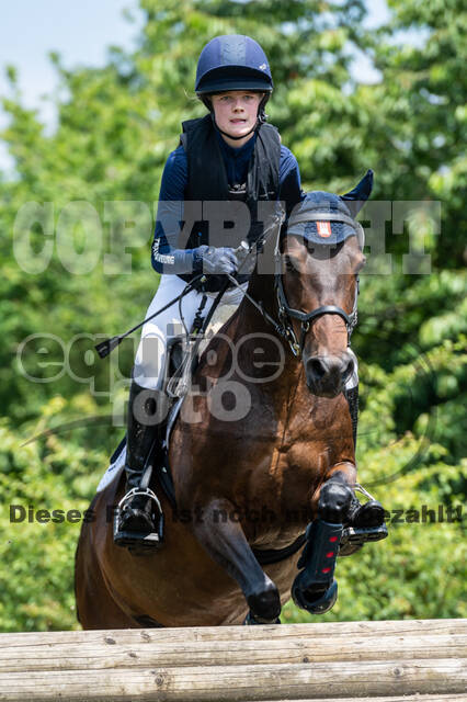 Goldene Schärpe 2021 - Ponys