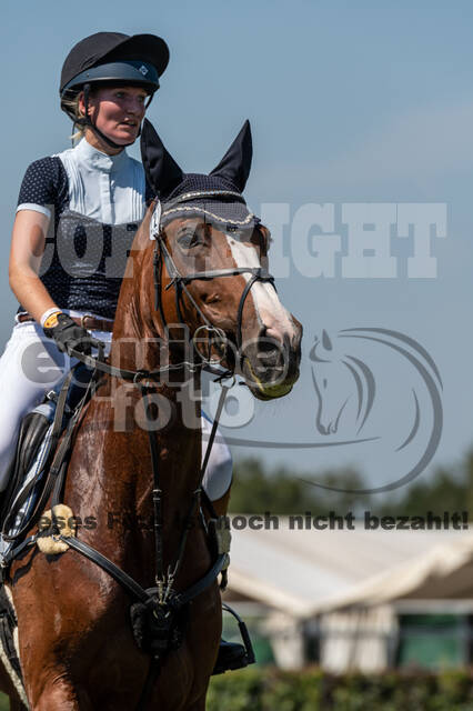 Kronenberg - De Peelbergen (August 2020)