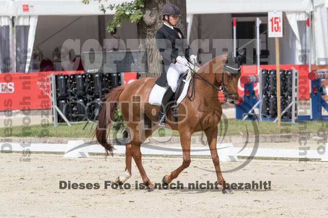 FEI European Championship Eventing 2017
