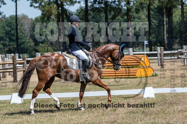 Kronenberg - De Peelbergen (August 2020)