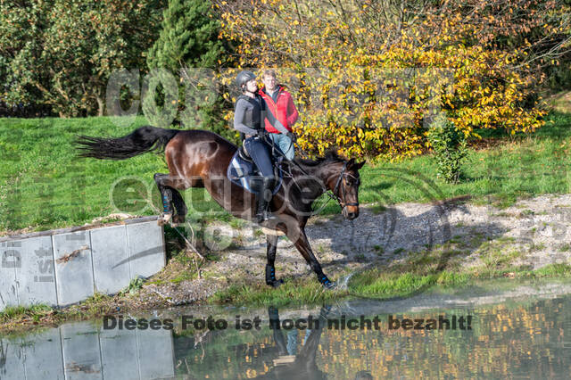 IGV Lehrgang der Sieger der Cups mit Frank Ostholt