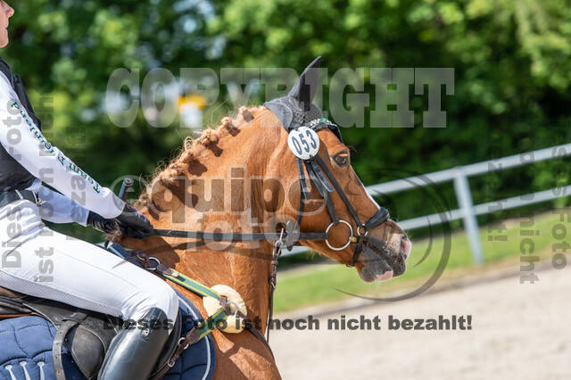 Test of Choise Langenfeld (29.+30.05.2021)