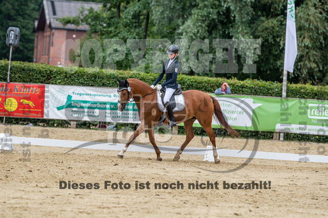 Goldene Schärpe 2021 - Ponys