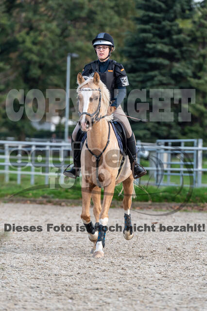 IGV Lehrgang der Sieger der Cups mit Frank Ostholt