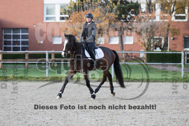 IGV Lehrgang der Sieger der Cups mit Frank Ostholt