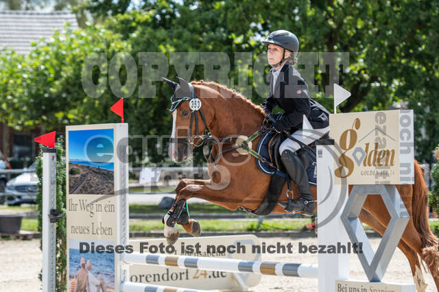 Landesturnier Rheinland, Vielseitigkeit, 22.+23.08.2020