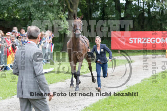 FEI European Championship Eventing 2017