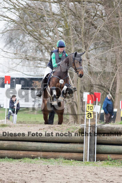 Jungpferdetag Hamminkeln