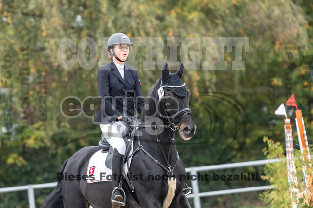 Goldene Schärpe 2020 - Pferde