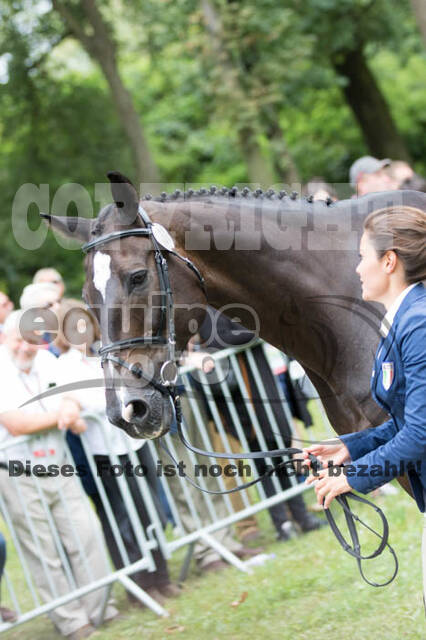 FEI European Championship