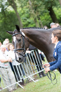 FEI European Championship