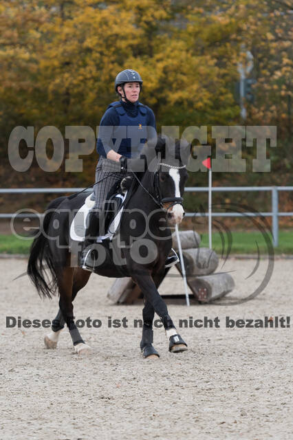 IGV Lehrgang der Sieger der Cups mit Frank Ostholt