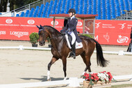 FEI European Championship Eventing 2017