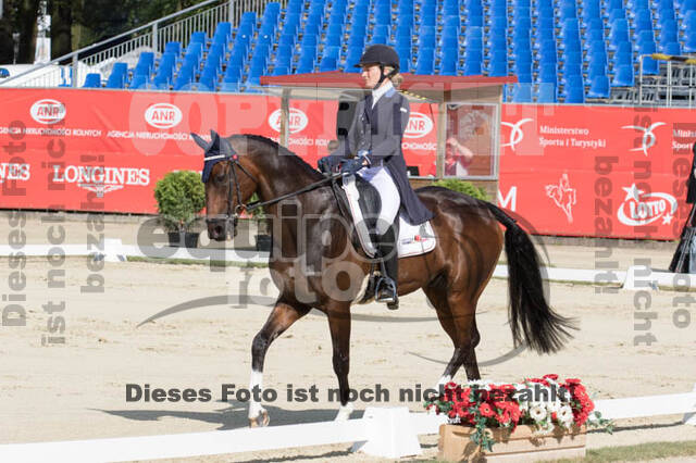 FEI European Championship Eventing 2017