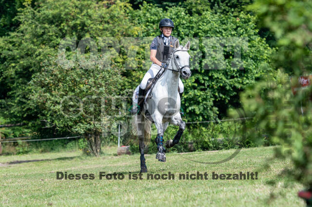 Goldene Schärpe 2021 - Ponys