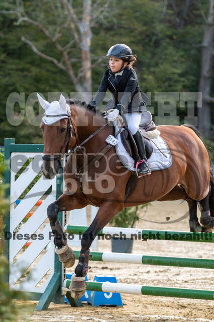 RFV Dinslaken-Hiesfeld (Herbstturnier)