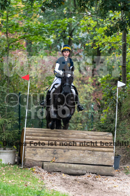 Goldene Schärpe 2020 - Pferde