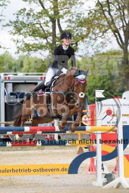 Sterne über Münster 2019 - CCI***S