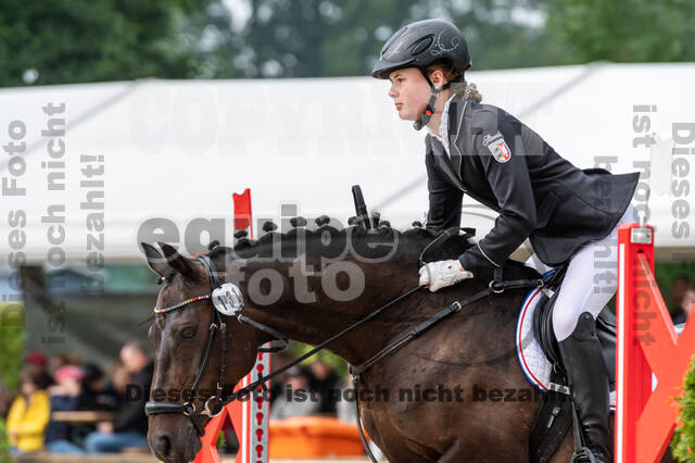 Goldene Schärpe 2021 - Ponys