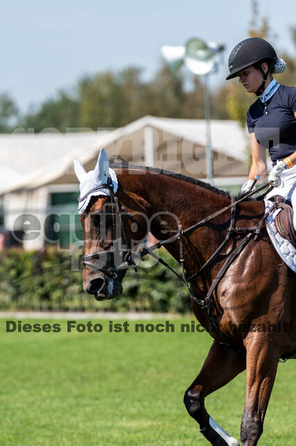 Kronenberg - De Peelbergen (August 2020)