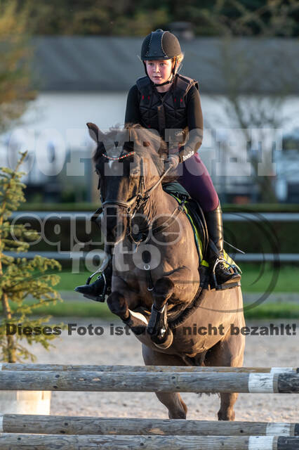 IGV Lehrgang der Sieger der Cups mit Frank Ostholt